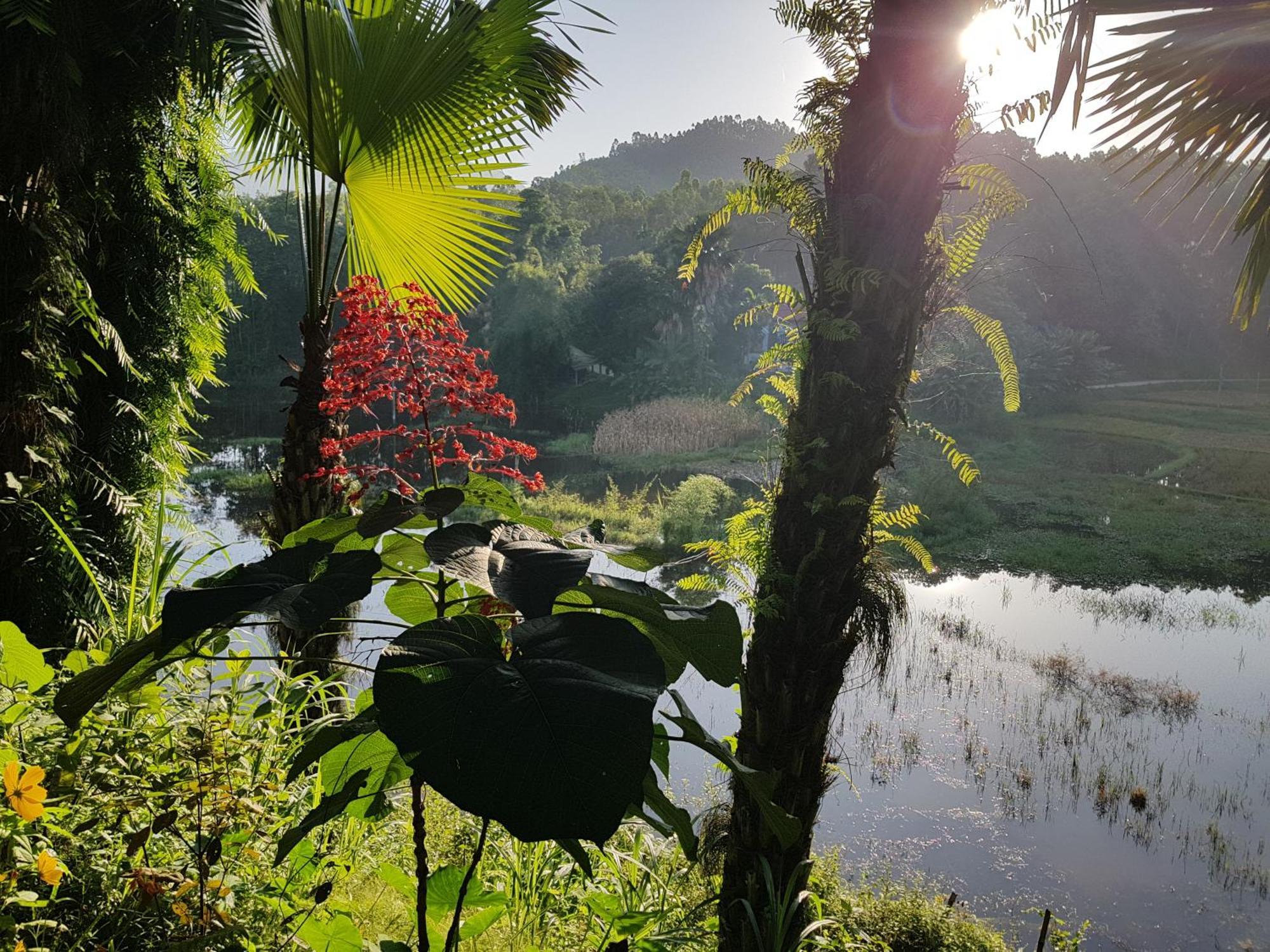 Vu Linh Palm House Homestay - Bungalow Yen Bai Luaran gambar