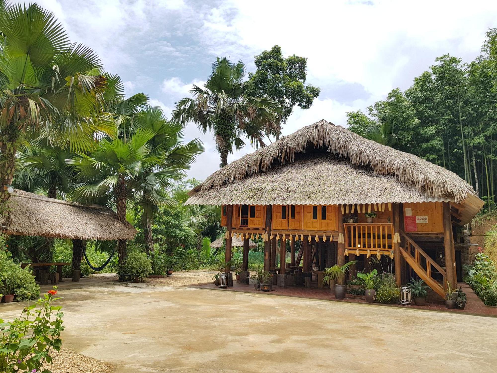 Vu Linh Palm House Homestay - Bungalow Yen Bai Luaran gambar