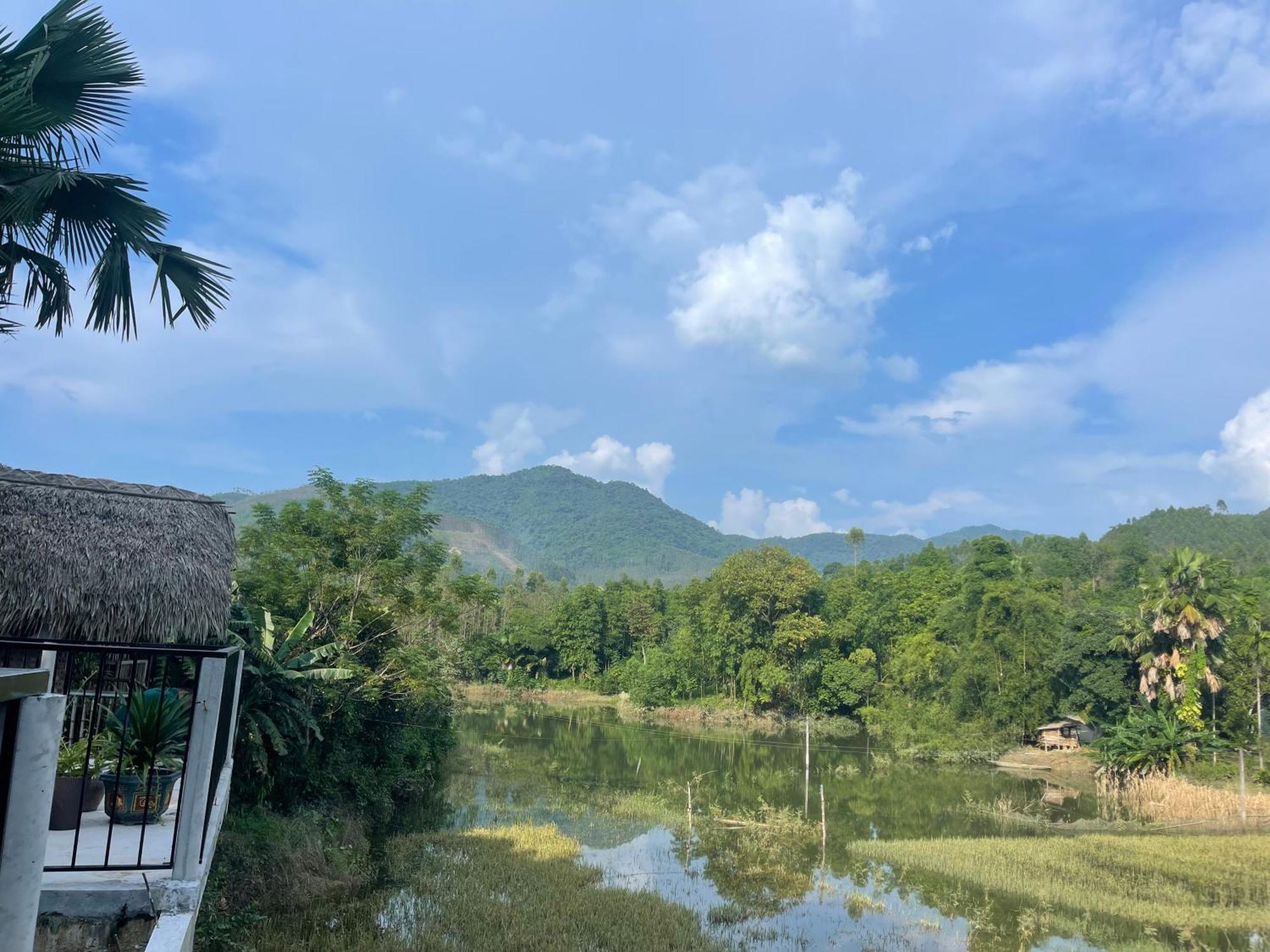 Vu Linh Palm House Homestay - Bungalow Yen Bai Luaran gambar